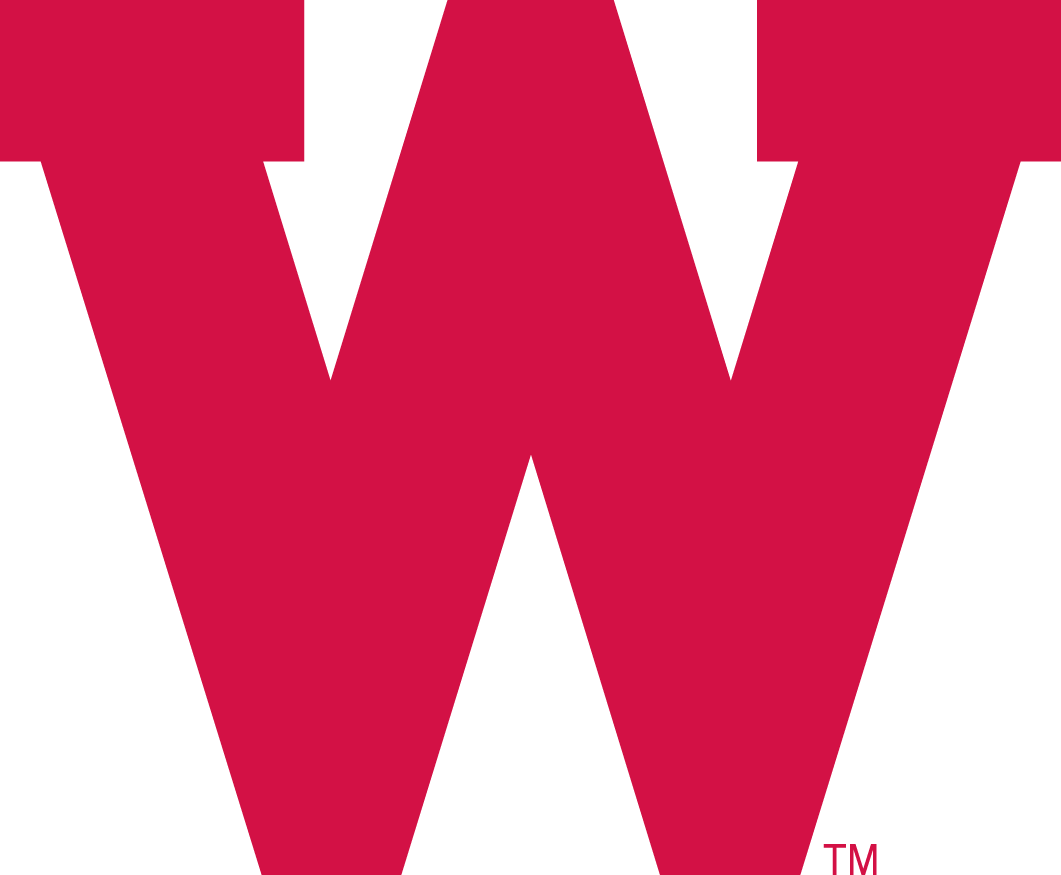 Wisconsin Badgers 1970-1991 Primary Logo iron on transfers for clothing